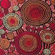Australian Indigenous Designs